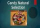 Candy Natural Selection. Candy Traits/Characteristics  What traits did the candy have that you selected from the candy bag?  Make a short list.  What.
