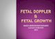 Fetal doppler & fetal growth