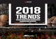 Trends 2018 eCommerce for US