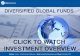 Diversified Global Funds - Investment Overview