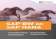 SAP BW on SAP HANA - Espresso Tutorials nbsp; 1.2 SAP BW on SAP HANA 18 ... also offers user and authorization management and SAP HANA extend-ed application services (XS) for