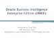 Oracle Business Intelligence Enterprise Edition (OBIEE ... · PDF fileOracle Business Intelligence Enterprise Edition ... • OBIEE –Oracle Business Intelligence Enterprise Edition