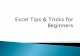 Excel Tips & Tricks for Beginners - Texas · PDF fileSelect = left click Click = left click Use mouse to select cells = ... Excel Tips & Tricks for Beginners ... 9/23/2010 10:59:30