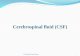 Cerebrospinal fluid (CSF) - KSU Facultyfac.ksu.edu.sa/sites/default/files/12-_csf.pdf · Cerebrospinal fluid (CSF) Cerebrospinal fluid (CSF) is a major fluid of the body CSF provides