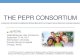 The PEPR Consortium - · PDF fileTHE PEPR CONSORTIUM ... physical, mental, and social ... This project is supported by National Institute of Arthritis and Musculoskeletal and Skin