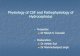 CSF Physiology and Pathophysiology of Hydrocephalus…aiimsnets.org/NeurosurgeryEducation/GeneralNeurosurgery/CSF... · Physiology of CSF and Pathophysiology of Hydrocephalus ...