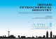 INDIAN PETROCHEMICAL INDUSTRY - · PDF filePETROCHEMICAL INDUSTRY IN INDIA 11 ... AGGREGATE PETROCHEMICAL DEMAND (ALL KEY SEGMENTS ... 2012 Asia Petrochemical Industry Conference 17th