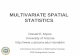 MULTIVARIATE SPATIAL STATISTICS - sct.uab.catsct.uab.cat/estadistica/sites/sct.uab.cat.estadistica/files/Dmayer... · MULTIVARIATE SPATIAL STATISTICS ... using multivariate geostatistics