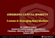 EMERGING CAPITAL MARKETS Lecture 4: Emerging Emerging... · PDF fileEMERGING CAPITAL MARKETS Lecture 4: Emerging Debt Markets ... • The instruments used by developed countries to