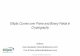 Elliptic Curves over Prime and Binary Fields in Cryptography · PDF filePartnerships with leading industry players including ARM, MIPS, RSA, Impinj, Lattice