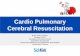Cardio Pulmonary Cerebral Resuscitation - Critical Care … · Cardio Pulmonary Cerebral Resuscitation Brain Under Pressure ... Dysrhythmias. Systemic Ischemia ... Pathophysiology