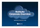 NetSuite Corporate  · PDF fileNetSuite Corporate Overview. ... Platform That Provides Complete Flexibility To: ... $50B+ Revenue Jollibee Leverages