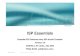 ISP Essentials - Internet   Essentials.pdf · PDF fileCisco ISP Essentials