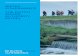 WATER GOVERNANCE THE DUTCH WATER … GOVERNANCE THE DUTCH WATER AUTHORITY MODEL. ... The Dutch water authority model, ... Environmentel planning Act