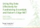 Using Big Data Effectively for Fundraising Essentials and ... Big Data Effectively for Fundraising Essentials ... Introduction to Analytics in Raisers Edge NXTâ€‌ ... Thoughts