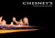 ALCHEMY GAS FIRE COLLECTION - Focus · PDF file4 Chesney’s Alchemy Gas Fire Collection Placing a gas effect fire behind glass and within a sealed steel chamber exponentially increases