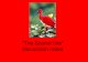 â€œThe Scarlet Ibisâ€‌ Discussion notes - Quia using figurative language â€¢â€œ ... the scarlet ibis as the symbol as opposed to another bird? â€¢With what is