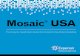 Mosaic USA -  · PDF filehousehold-based consumer lifestyle segmentation ... platforms and processes ... Q Godl en Year Guardians