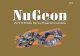GENERAL INFORMATION APPLICATIONS CATALOG - … · NUGEON MASTER VEHICLE MAKE CODES – SEPTEMBER 2009 Vehicle Code Make(s) Vehicle Code Make(s) Vehicle Code Make(s) 01 Misc. ASIAN