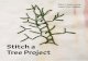Stitch a Tree Project - Thread Bearing Witness .2017-11-26  Stitch a Tree Project instructions