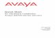 Quick Start for Hardware Installation: Avaya S8700-Series Servers .2008-01-09  6 Quick Start for