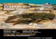 Crayfish and - · PDF fileCrayfish and River Users Protecting wildlife, Inspiring people Crayfish and River Users Adult white-clawed crayfish Guidelines for Specific Interest Groups