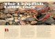 The Crayfish Collectors - Illinois  miniaturelobsters” offreshwaterlakesandstreams areasnappywaytoexperience naturalfood. The Crayfish Collectors StoryandPhotos BByJoeMcFarland