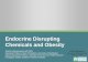Endocrine Disrupting Chemicals and Obesity .Endocrine Disrupting Chemicals and Obesity ... Evidence