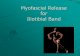 Myofascial Release for Iliotibial Band - MCCCbehrensb/documents/PiratesMFRforITB.pdf · Myofascial Release for Iliotibial Band . 2 What is iliotibial Band Syndrome? Iliotibial band