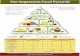Vegetarian Food Pyramid - home - V7 · PDF fileThe Vegetarian Food Pyramid Guidelines for Healthful Vegetarian Diets Variety of plant foods in abundance Emphasis on unrefined foods