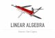 LINEAR ALGEBRA - Indian Statistical Instituteacmsc/WMSFMLT2016/LinearAlgebra.pdf · Understanding Matrices as linear operators 3. Subspaces and Singular Value Decomposition Part II