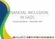 FINANCIAL INCLUSION IN SADC - Welcome to SADC-DFRC | SADC · PDF fileIMPORTANT FOR SADC Financial inclusion can play a catalytic and supportive role in ... cross border retail payments