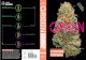 CANNABIS STRAIN VARIETIES - Above the Treelineedelweiss-assets.abovethetreeline.com/CH/supplemental/AT_pg18... · CANNABIS. STRAIN VARIETIES. Green: A Field Guide to Marijuana. explores