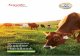 Saputo Dairy Australia Pty Ltd Supplier Handbook€¦ · Handbook Southern Milk Region ... largest producers of extended shelf-life and cultured dairy products. Saputo Dairy Australia