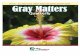 Quarterly Newsletter from Gray Matters Consulting … 2 Issue 2 Gray Matters Quarterly... · Quarterly Newsletter from Gray Matters ... Quarterly Newsletter from Gray Matters Consulting