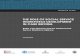 THE ROLE OF SOCIAL SERVICE WORKFORCE DEVELOPMENT IN Role...  Working Paper on the Role of Social