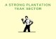 A STRONG PLANTATION TEAK SECTOR - … Teak Plantation.pdf · PRICE OF TEAK The base of informed plantation decisions Raymond M. Keogh Coillte