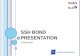 SSH BOND PRESENTATION - sdh.si .SSH DESCRIPTION 4 SSH is organised as a public limited company whose