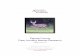 Zapata County Deer Hunting Market Research - …naturetourism.tamu.edu/files/2013/12/Zapata-County-Hunting.pdf · Zapata County Deer Hunting Market Research| 2!!! Research Summary