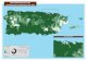 Zika Incidence by Census Tract -  · PDF fileLajas Yauco Lares Coamo Ciales Salinas Moca Cayey Adjuntas Isabela Caguas Orocovis Cabo Rojo ... Las Piedras Santa Isabel