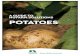 A Guide TO NufArm sOluTiONs · PDF filethis Guide to Nufarm Solutions provides an easy reference for when and how to use our products on potato crops. 2. Planting (seed treatme Nt)