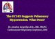 The ECHO Suggests Pulmonary Hypertension. What Next? .The ECHO Suggests Pulmonary Hypertension. What