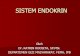 SISTEM ENDOKRIN - .gyPages/H/  ... Corticotropin Releasing Hormon (CRH), Gonadotropin Releasing