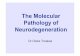 A3501 Molecular pathology of neurodegeneration.pptmscneuroscience.iop.kcl.ac.uk/moodle/neurosciencemsc... · 2016-11-30 · To understand the basic histological and biochemical characteristics