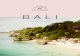 BALI - The · PDF fileI am fortunate to have a long and strong affiliation with the beautiful Indonesian islands, Bali in particular. Having visited the place almost annually since