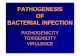 PATHOGENESIS OF BACTERIAL INFECTIONold.lf.upol.cz/.../Dentistry/PATHOGENESIS_OF_BACTERIAL_INFECTION.pdf · Pathogenesis ofof bacterial bacterial infectioninfection Humans and animals
