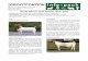 South African Goat breeds - Boer Goat - gadi.agric. South African Goat breeds - Boer Goat.pdf · PDF fileSouth African goat breeds : Boer goat. Info pack ref. 2014/002. Grootfontein