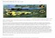 IPMS South Africa - IPMS South Africa :: Dassault Mirage F1 AZ / Dassault_Mirage... · PDF file 2014-07-29 · IPMS South Africa - IPMS South Africa :: Dassault Mirage F1 AZ / CZ