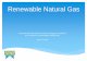 Renewable Natural Gas - GT Summit & · PDF file 2017-08-10 · Renewable Natural Gas is the gas produced from the decomposition of organic materials in renewable waste resources after