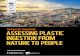 No pLAStIc IN NAture: ASSeSSINg pLAStIc INgeStIoN from ... · 6 No Plastic in Nature: Assessing Plastic Ingestion From Nature To People No Plastic in Nature: Assessing Plastic Ingestion